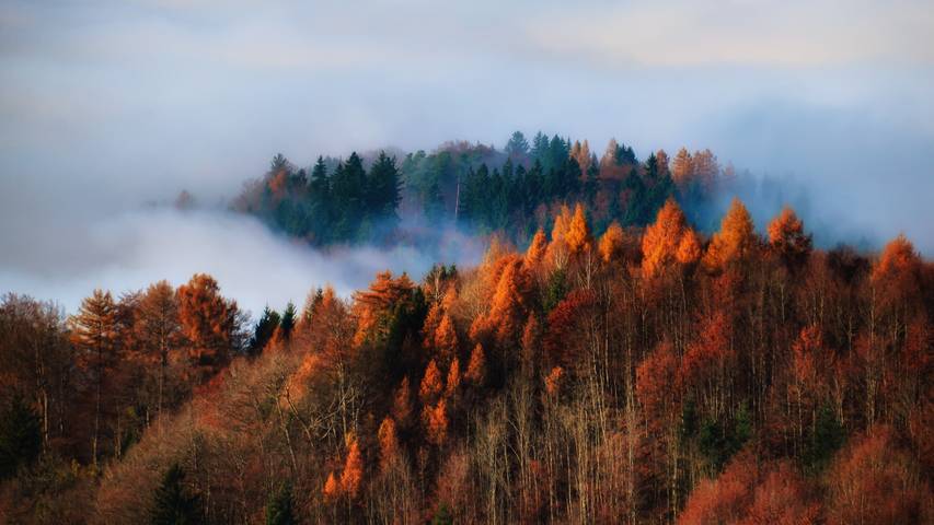 So findest du den schönsten Herbst in der Schweiz