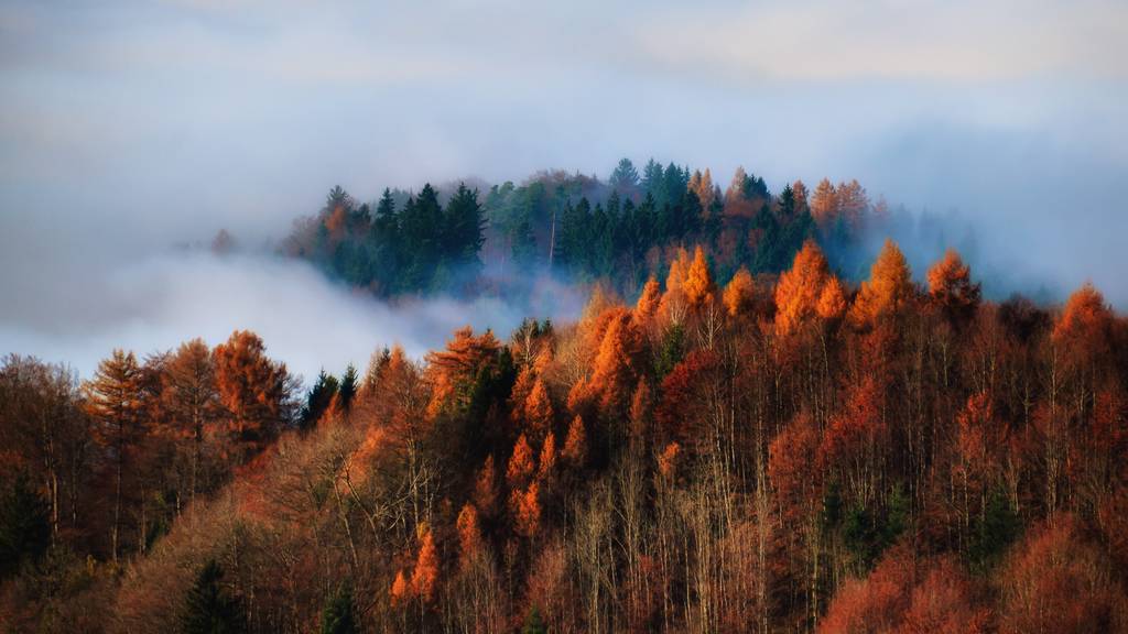 So findest du den schönsten Herbst in der Schweiz