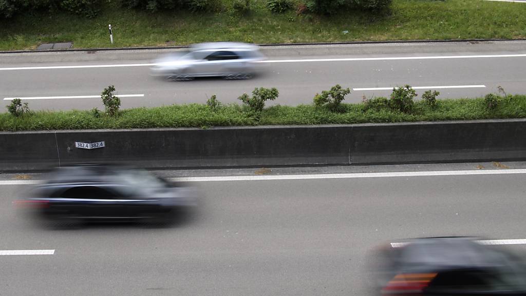 Stationäre Scanner von Kontrollschildern könnten an Autobahnen fix installiert werden. (Symbolbild)