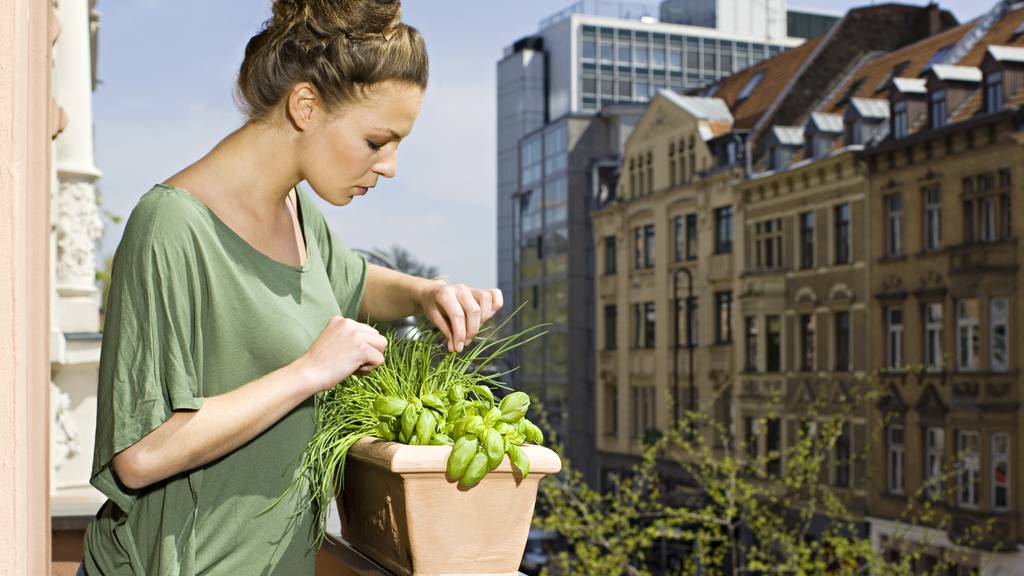 Blumen, Gemüse und Co.: Was kannst du jetzt schon anpflanzen?