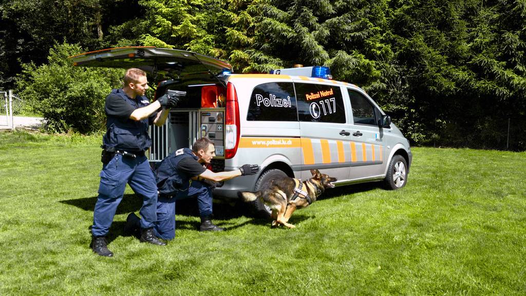 Wie wichtig sind die Zentralschweizer Polizeihunde?