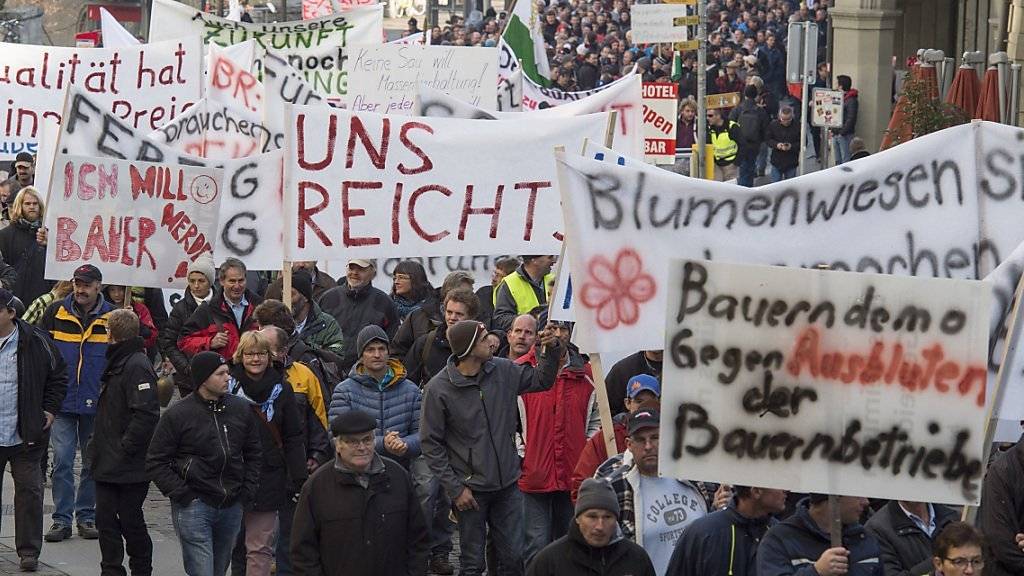 Rund zehntausend Bauern sind vergangenen November in Bern auf die Strasse gegangen, um gegen die Sparpläne des Bundesrats zu demonstrieren. Auch CVP, BDP und SVP wehren sich dagegen. (Archiv)