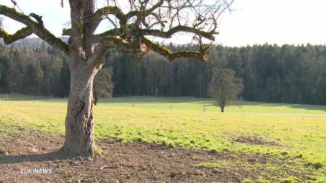 Kampf um Eschenberg ist vorbei