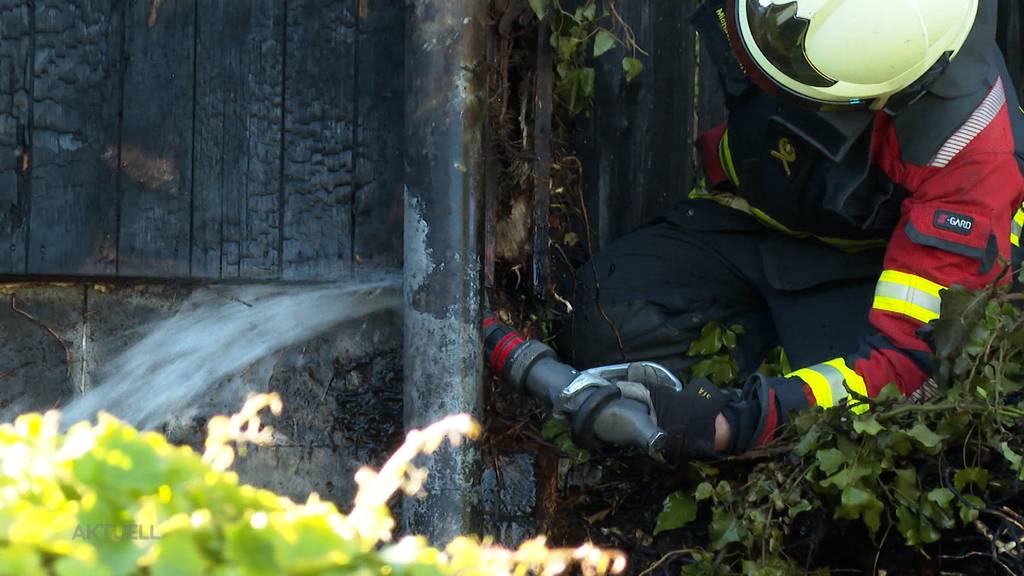 Schinznach-Dorf: Bekämpfung eines Wespennestes mit Feuer ging daneben