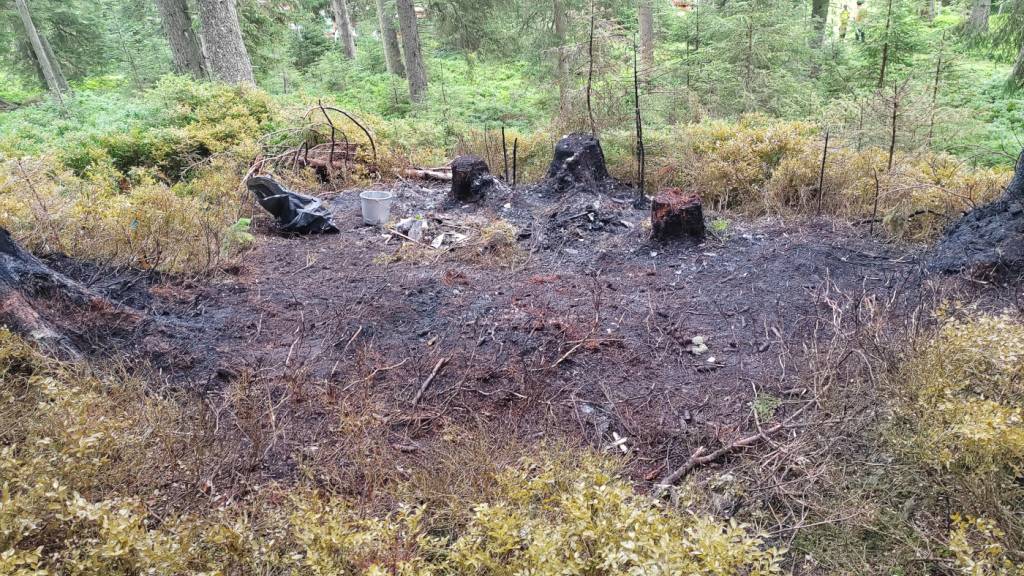 Blick auf die Absturzstelle eines Kleinflugzeugs in der Nähe von Wald im Pinzgau im Salzburger Land. Beim Absturz des Kleinflugzeugs in Österreich sind laut Polizei vier Deutsche ums Leben gekommen. Die Maschine war den Angaben zufolge in Oberschleißheim bei München gestartet. Foto: Jürgen Masching/News5/dpa