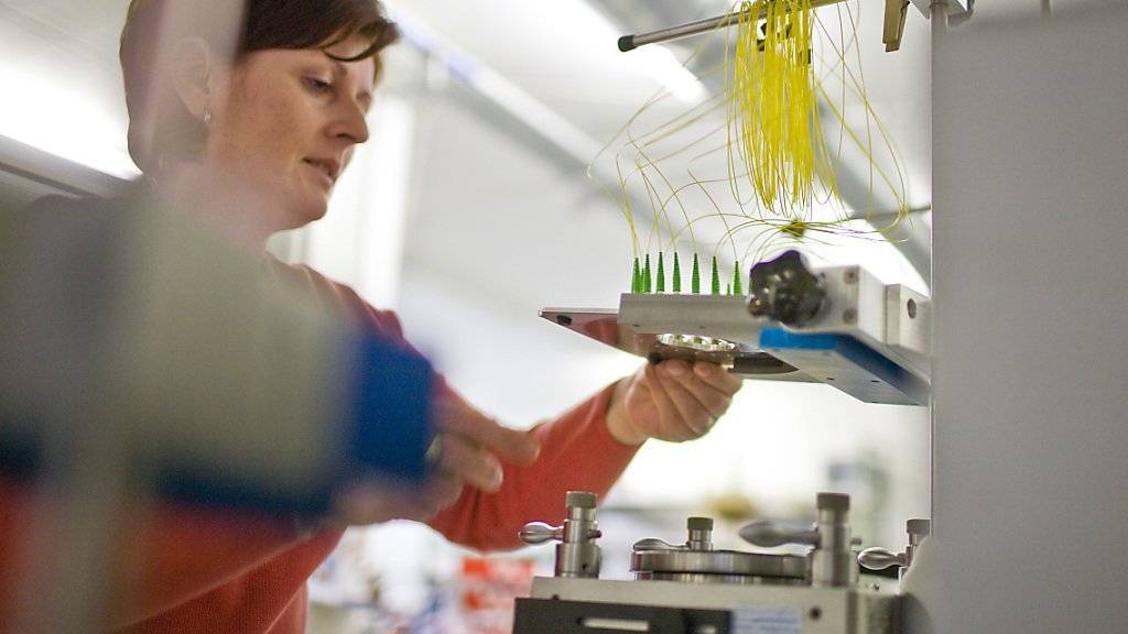 Frauen ist Selbstbestimmung im Job wichtig, Männern eher der Lohn: Eine Mitarbeiterin in einer Elektronikfirma im Kanton Zürich (Symbolbild).