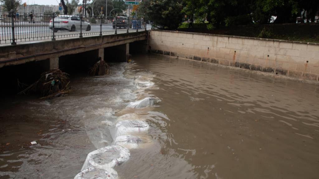 Der Sturzbach Sa Riera in Palma führt viel Wasser. Foto: Clara Margais/dpa