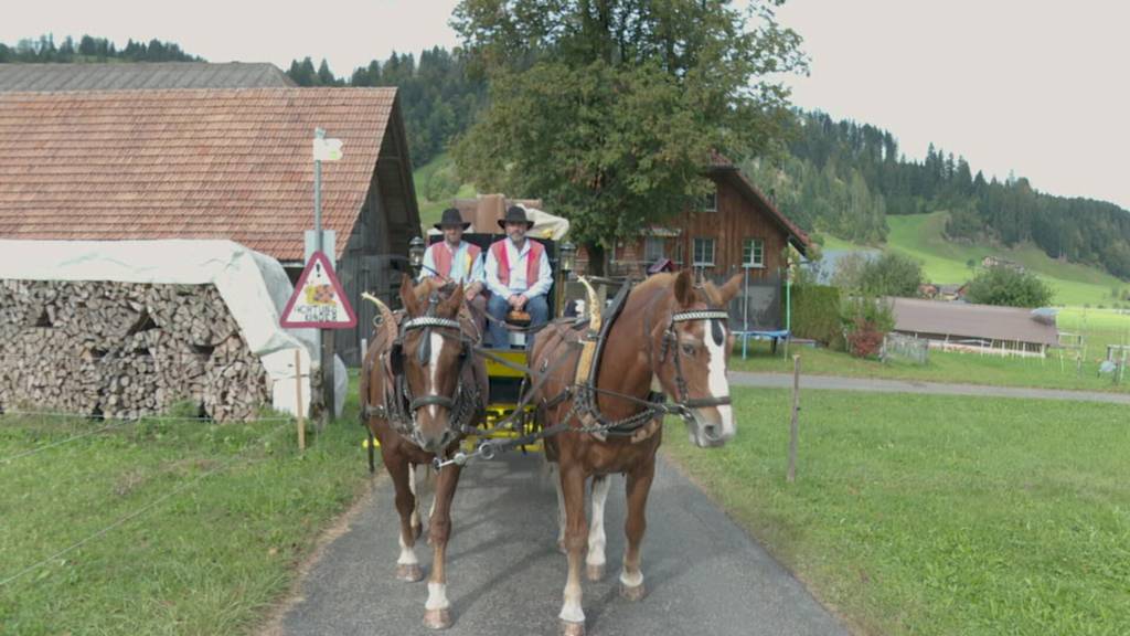 Wie eine 100-jährige Postkutsche wiederbelebt wird