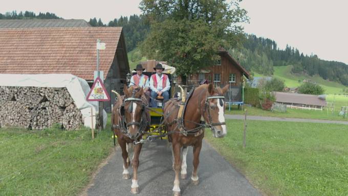 Wie eine 100-jährige Postkutsche wiederbelebt wird