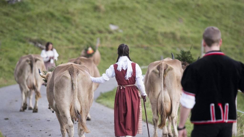 Älpler ziehen mit ihrem Vieh ins Tal zur Entlebucher Alpabfahrt nach Schüpfheim LU
