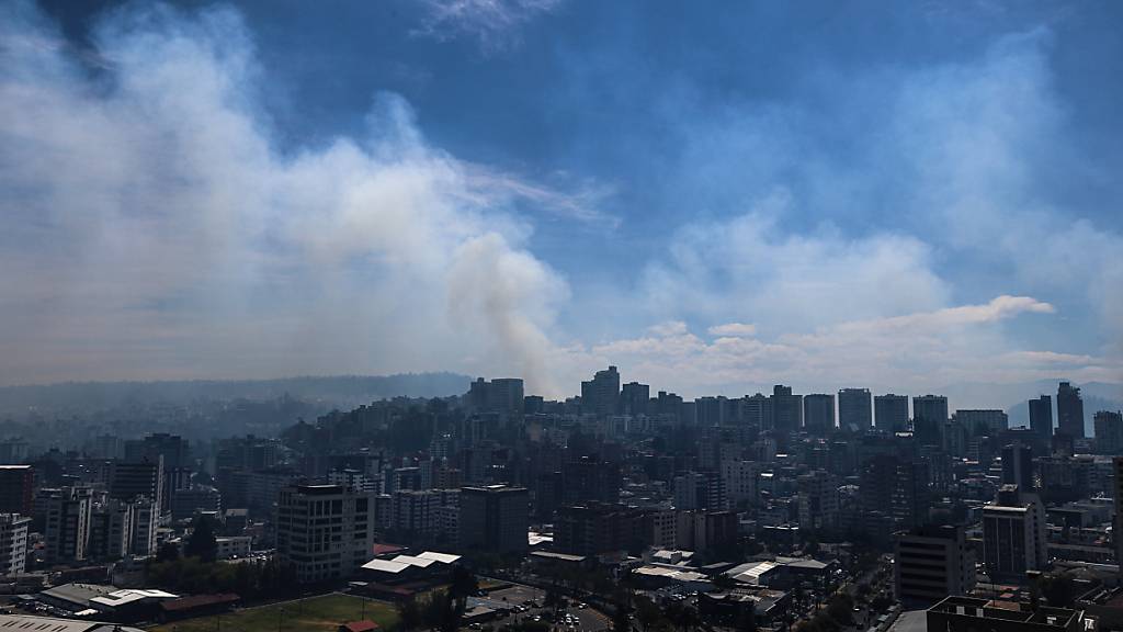 Heftige Waldbrände in Ecuadors Hauptstadt Quito