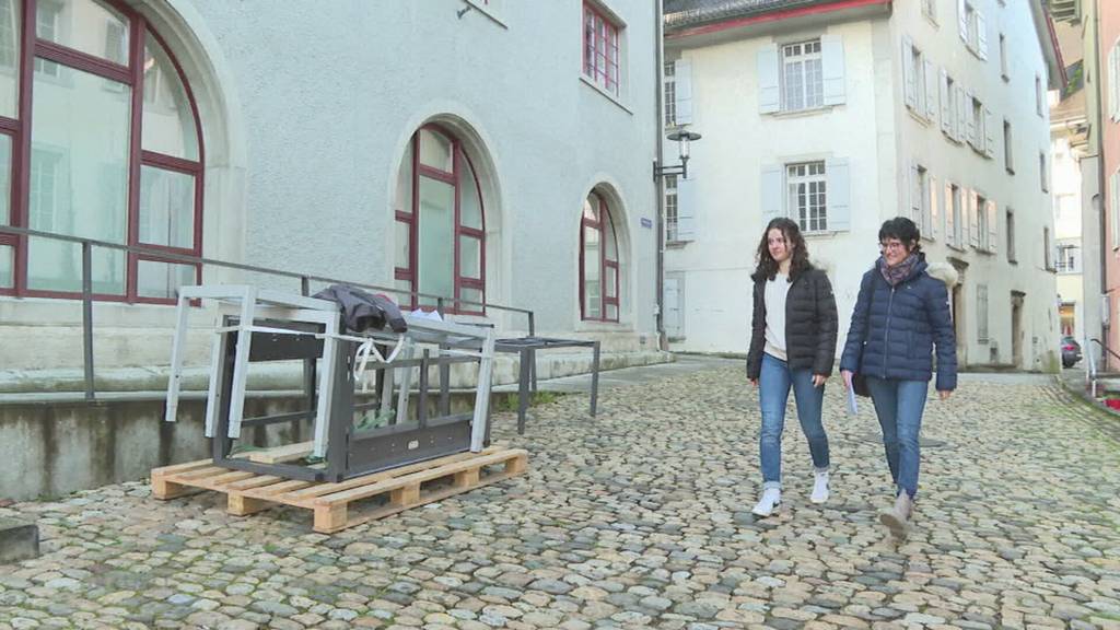 Vor Auto gejagt: Hunde hetzen Reh auf die Strasse – Halterin vor Gericht