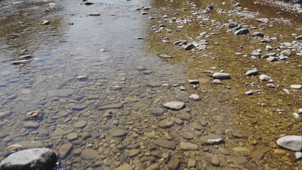 Wasserknappheit in Gewässer fordert Gemüsebauern