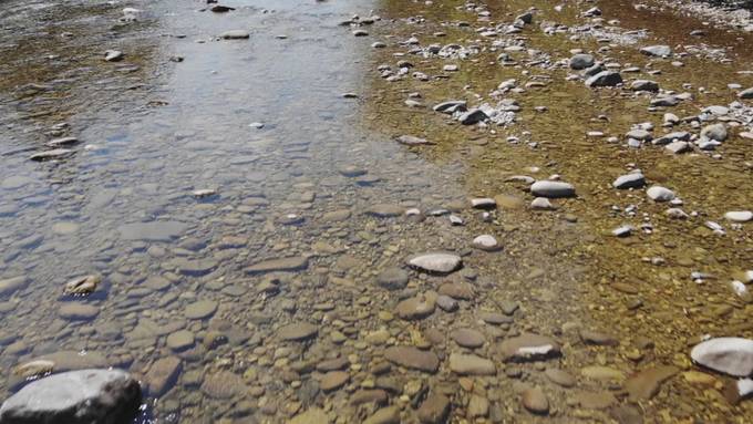 Pegel des Vierwaldstättersees sinkt einen Zentimeter pro Tag – historisches Niedrigwasser in der Kleinen Emme