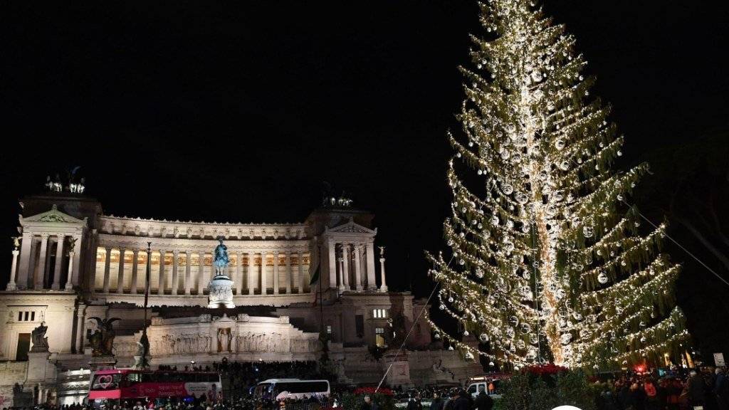 Der in der Kritik stehende Weihnachtsbaum auf der Piazza Venezia