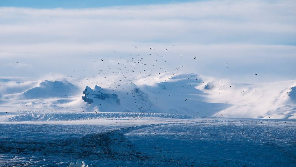 «An Inconvenient Sequel – Truth to Power» heisst der neue Film von Al Gore