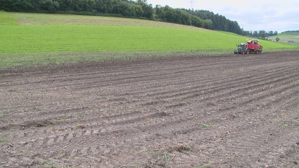 Zentralschweizer Bauern grundsätzlich mit Massnahmen des Bundesrates zufrieden