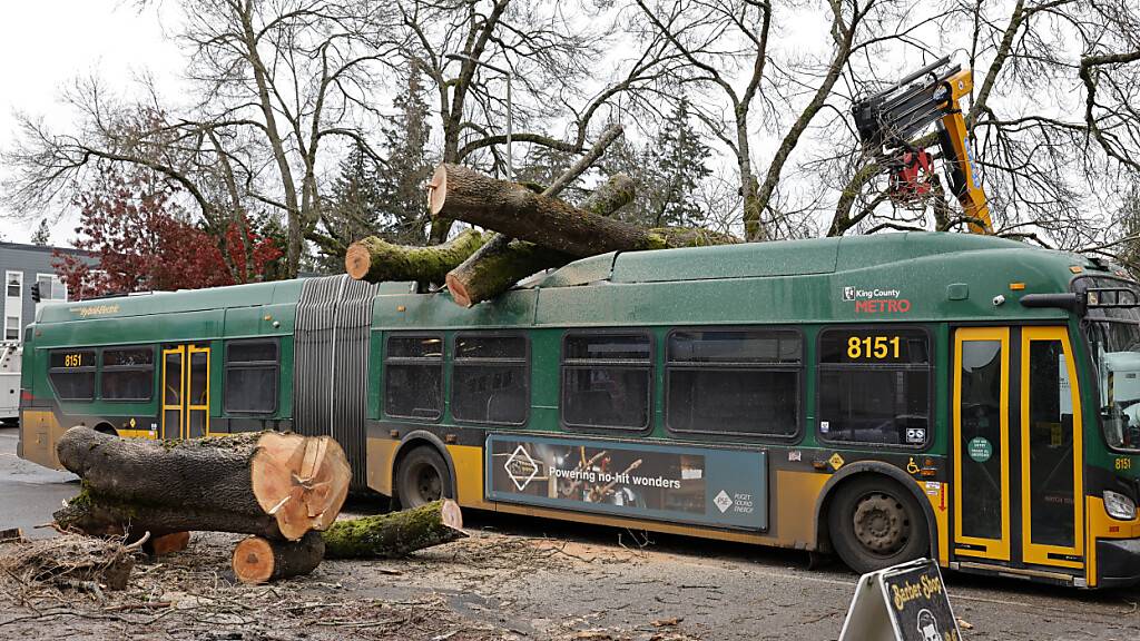 Heftiger Sturm an US-Westküste - Hunderttausende ohne Strom