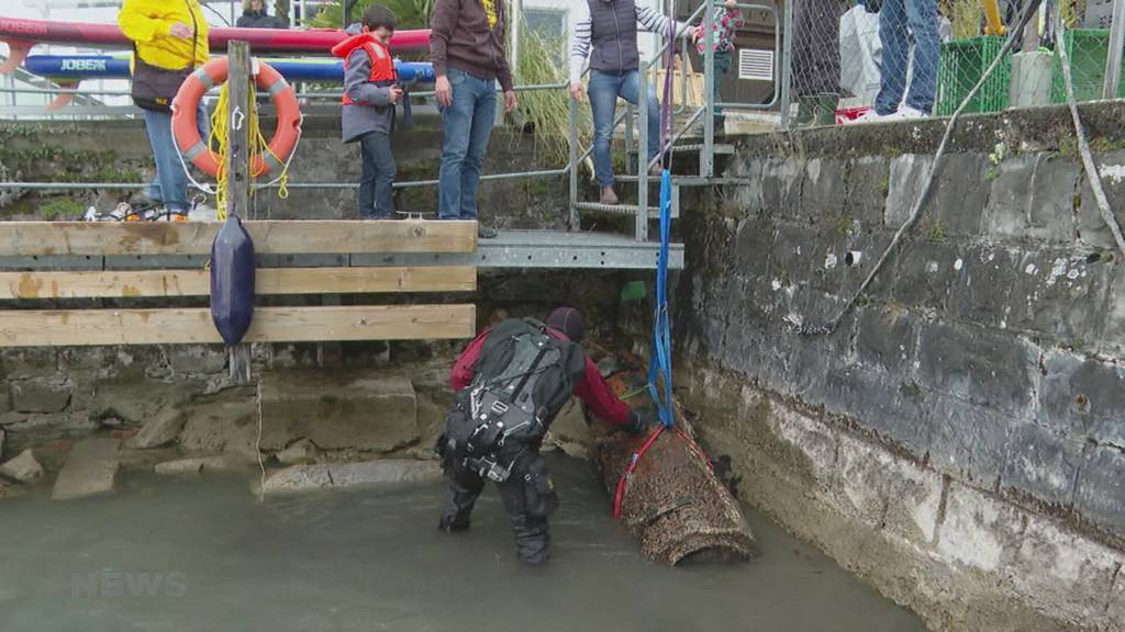 Thunersee-Reinigung bringt Kurioses ans Licht