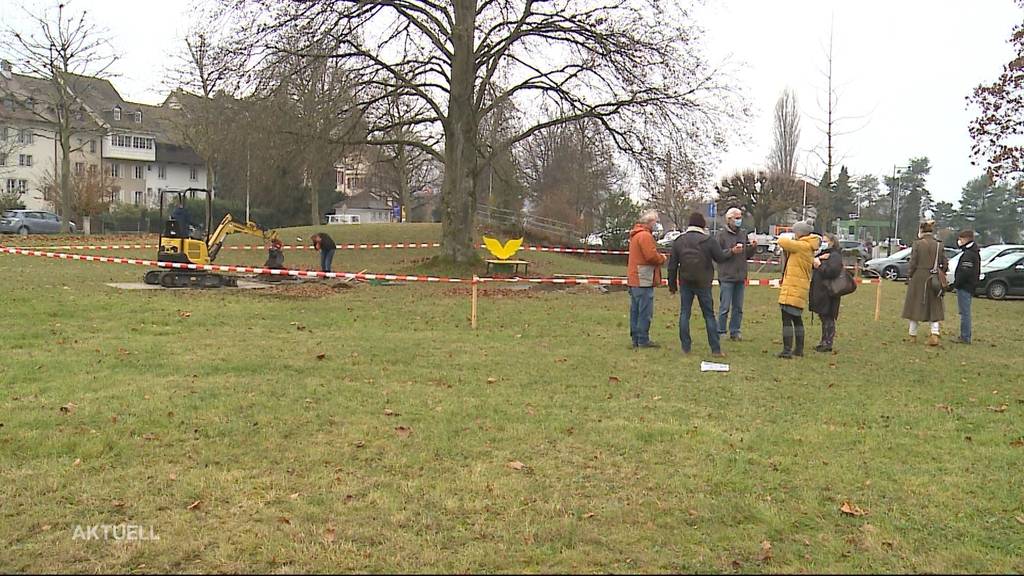 Protest gegen Baumfällung in Zofingen