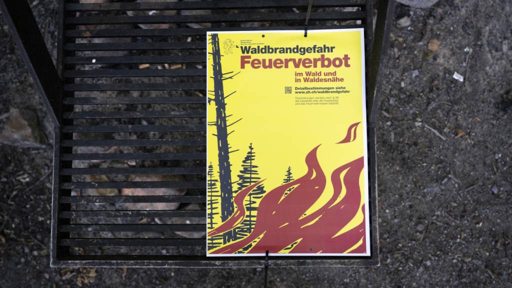 Der Regen bleibt aus und die Feuergefahr steigt wieder an. (Archivbild)