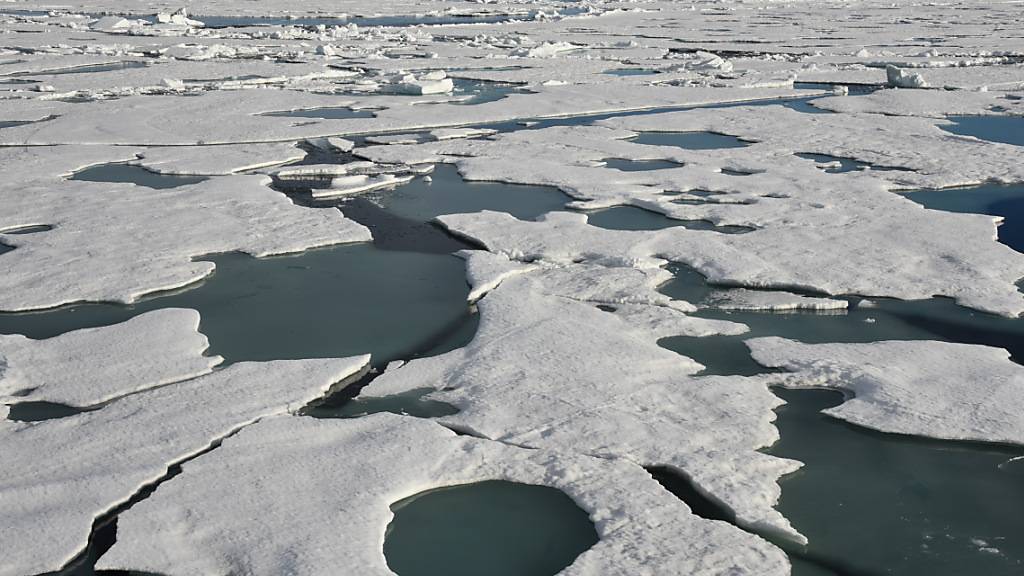 ARCHIV - Eisschollen treiben auf dem Arktischen Ozean am Nordpol (Archiv). Foto: picture alliance / dpa