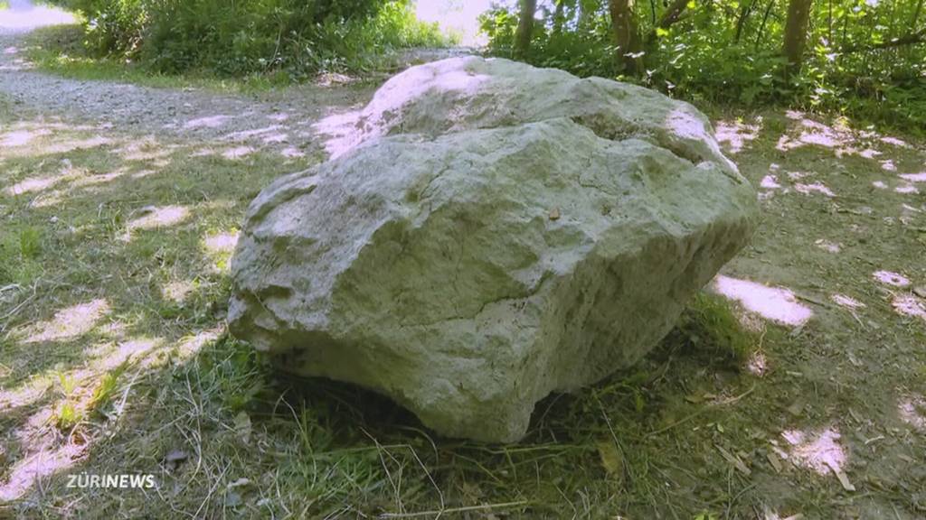 Mysteriöser Leichenfund nahe Rheinau