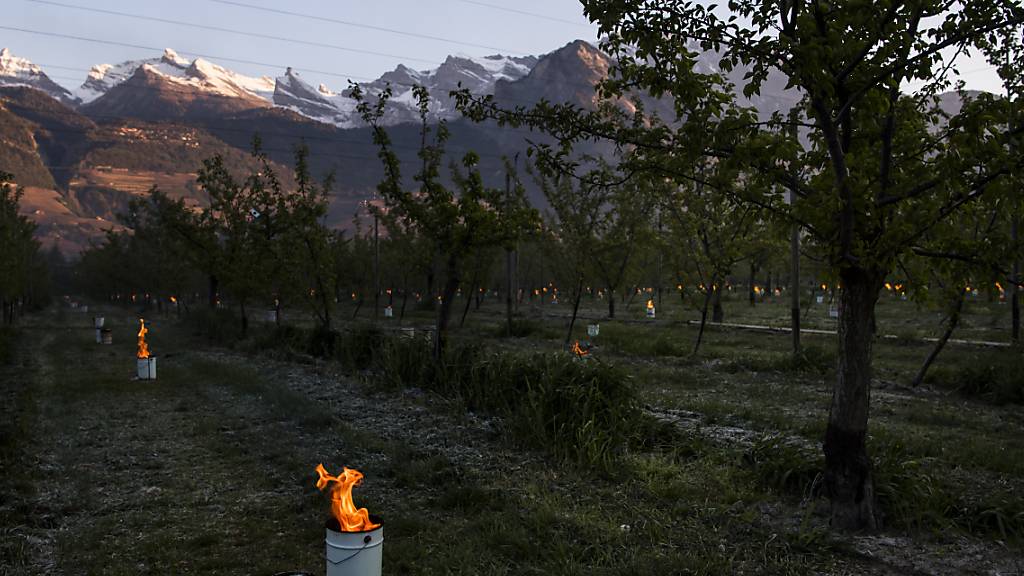 Bauern wappnen sich  gegen Frost