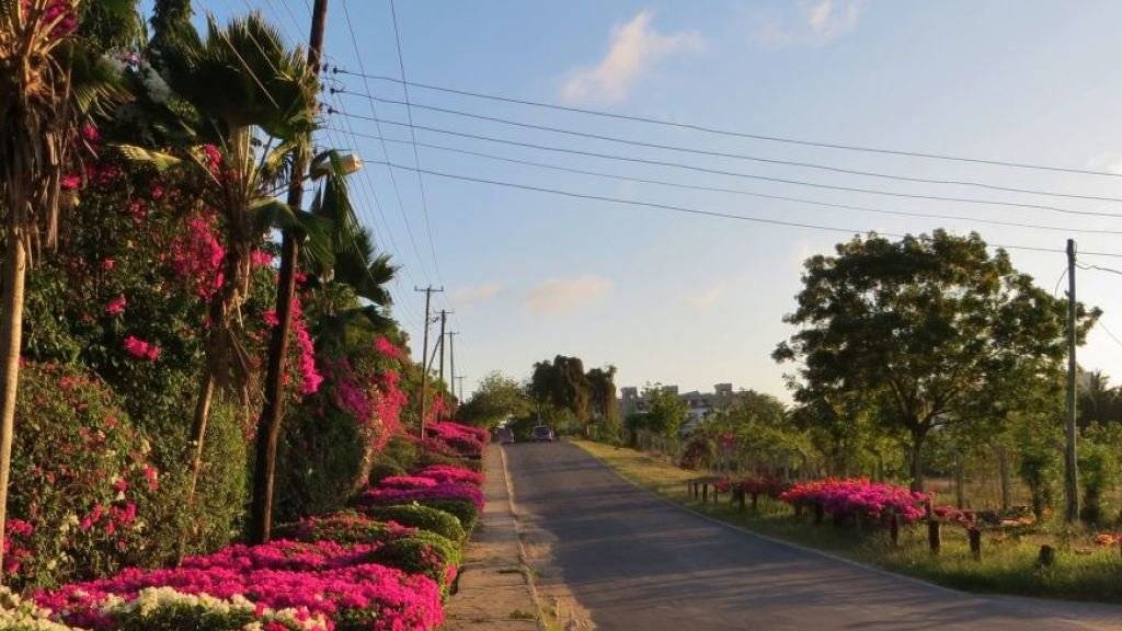 Nyali gilt als nobler Stadtteil Mombasas. Auf der Fahrt dorthin wurde offenbar ein Schweizer Touristenpaar getötet und in Tüchern gewickelt am Strassenrand liegengelassen. (Themenbild)