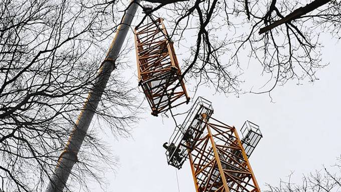 Uni Basel bereitet Klimaexperiment im Wald vor