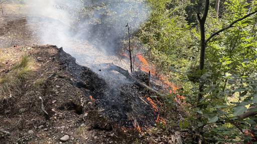 Polizei vermutet Fahrlässigkeit bei Waldbrand in Horw LU