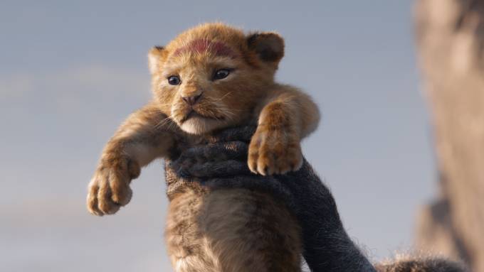 Kinotipp: Neuauflage von «König der Löwen»