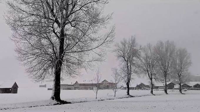 Flockiger Freitag: Es schneit im Appenzellerland