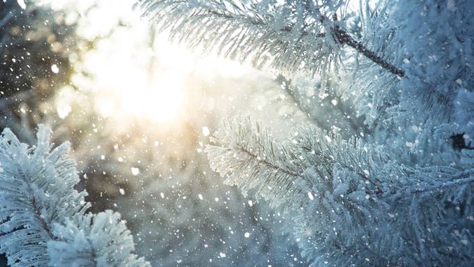 Bis in tiefere Lagen: Jetzt kommt der Schnee