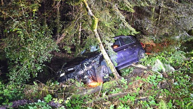 Auto kollidiert mit Baum – zwei Personen leicht verletzt