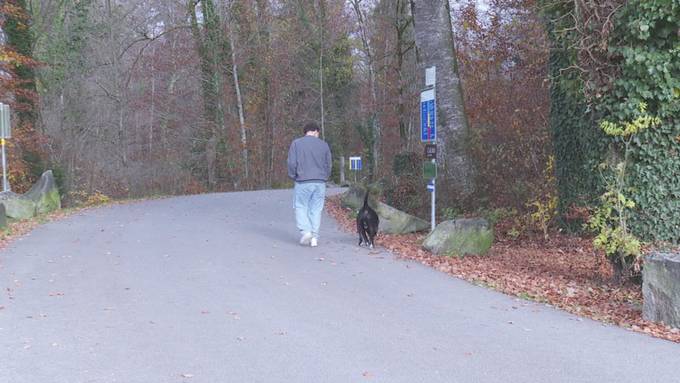 Hunde-Leinenzwang: Neues Reglement in Rapperswil-Jona spaltet Hündeler