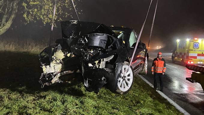 Tesla von 18-jähriger Lenkerin kollidiert mit Baum – zwei Verletzte
