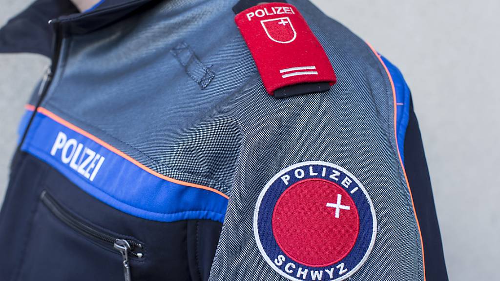 Die Schwyzer Kantonspolizei verzeichnete rund zwei Dutzend Einsätze wegen der Silvesternacht. (Symbolbild)
