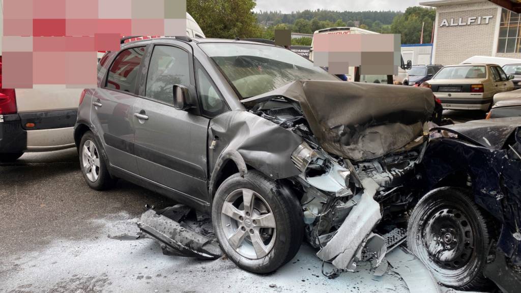 Ein 79-jähriger Autofahrer verstarb nach einem Selbstunfall in Rothrist AG.