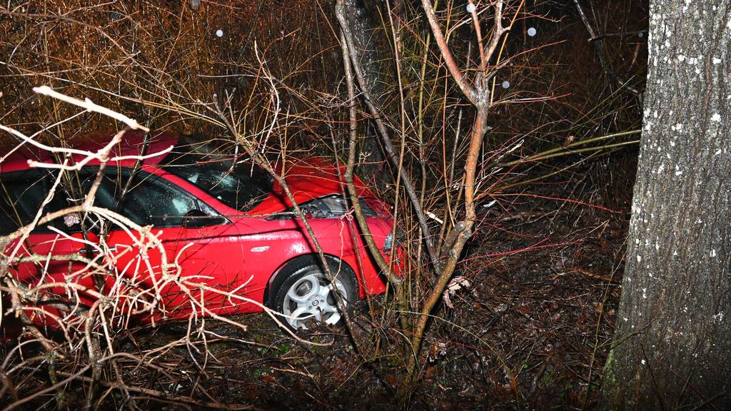 Mann (43) landet mitten in der Nacht mit Auto in Bäumen