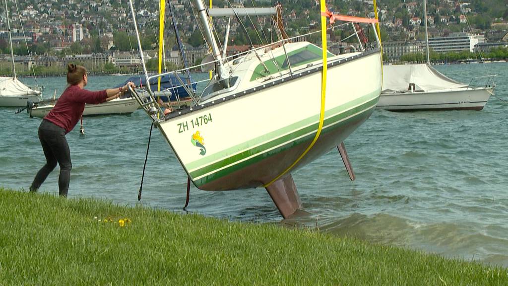 Grosse Schäden nach Föhnsturm im Zürcher Seebecken