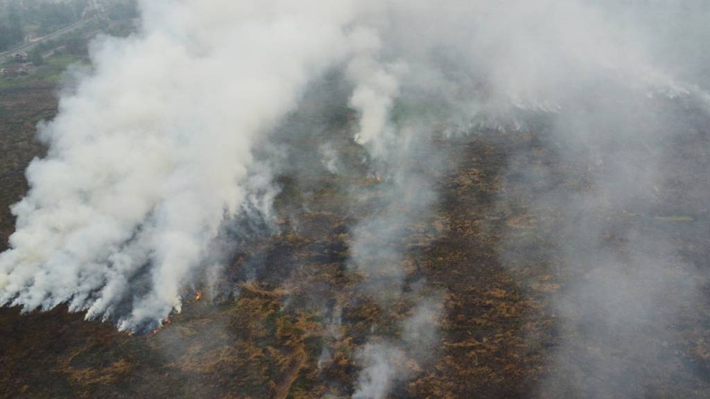 Rauch steigt aus Waldbränden auf, die ein Torfmoorgebiet in Ogan Ilir verwüsten. Foto: Muhammad Hatta/AP/dpa