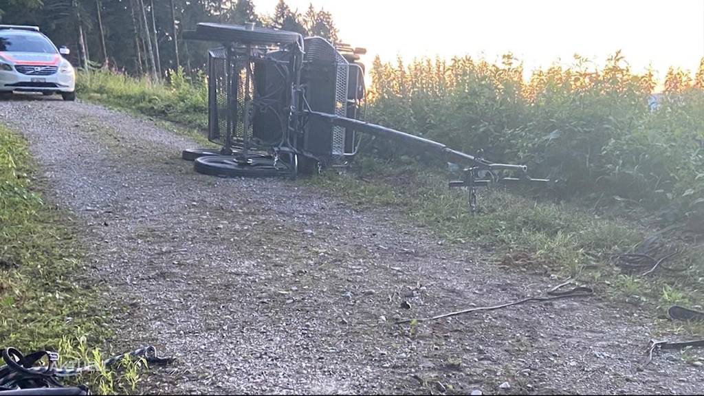 5 Personen müssen nach Kutschen-Unfall auf Waldweg ins Spital