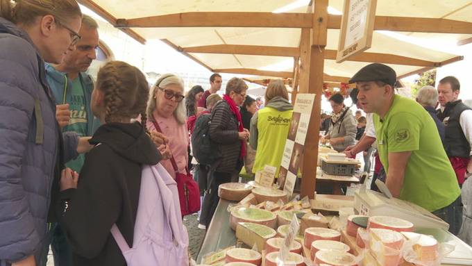 Grösster Käsemarkt der Zentralschweiz auf Kapellplatz