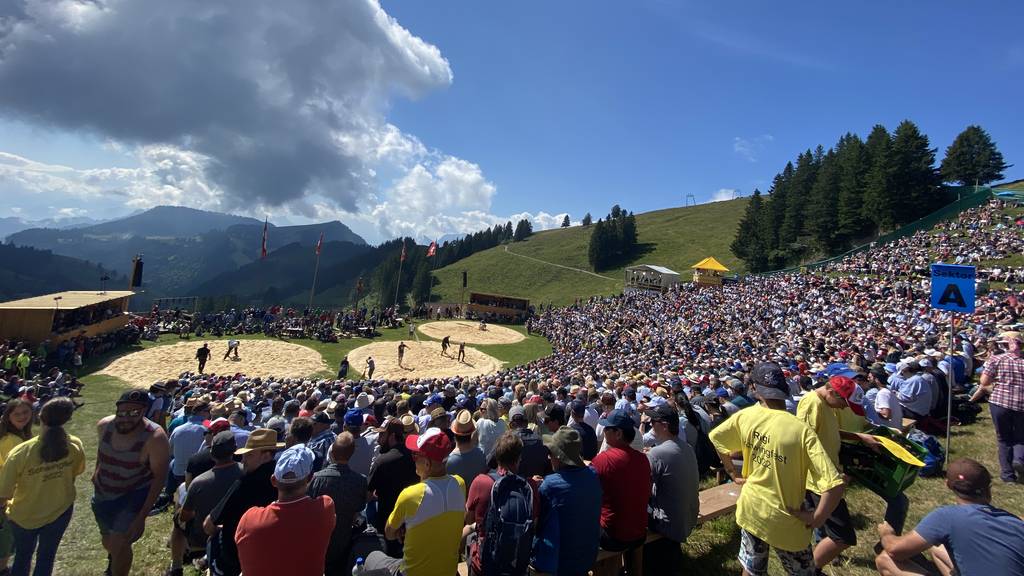 Live auf PilatusToday, Tele 1 und Radio Pilatus