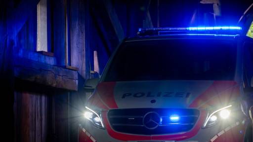 Autolenker entzieht sich in Winterthur einer Polizeikontrolle