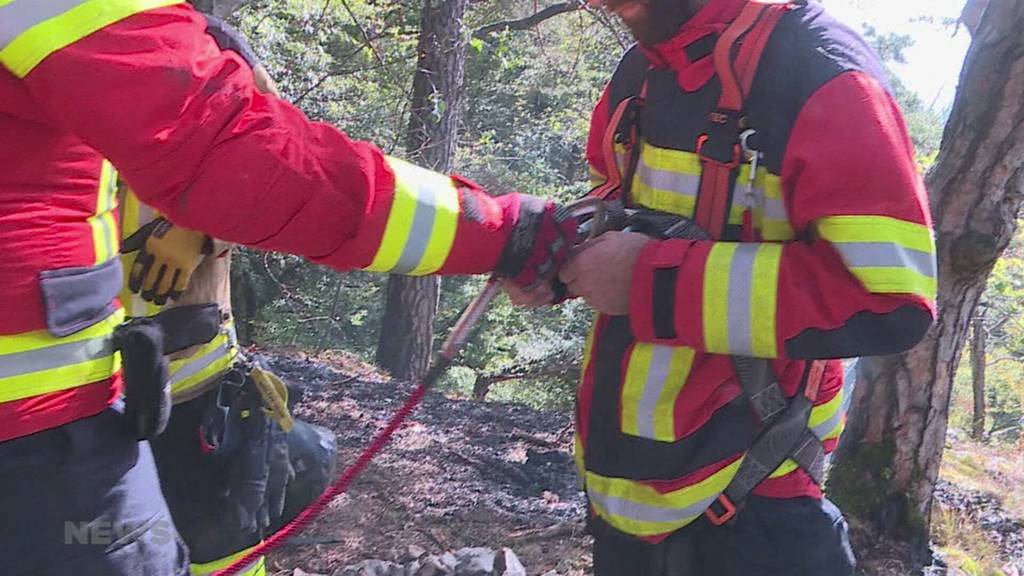Feuerstelle nicht gelöscht: Oberhalb von Egerkingen brannte der Wald
