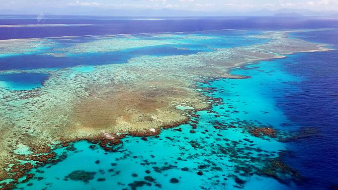 Zukunft des Great Barrier Reef steht auf Messers Schneide