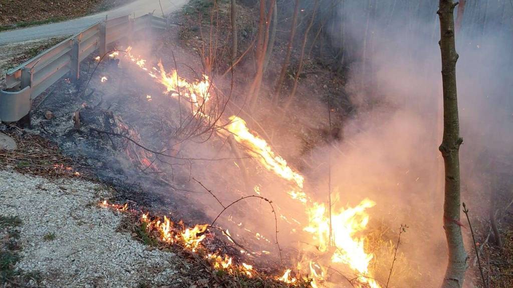 Erneut Waldbrände im Kanton Solothurn: Polizei mahnt zur Vorsicht