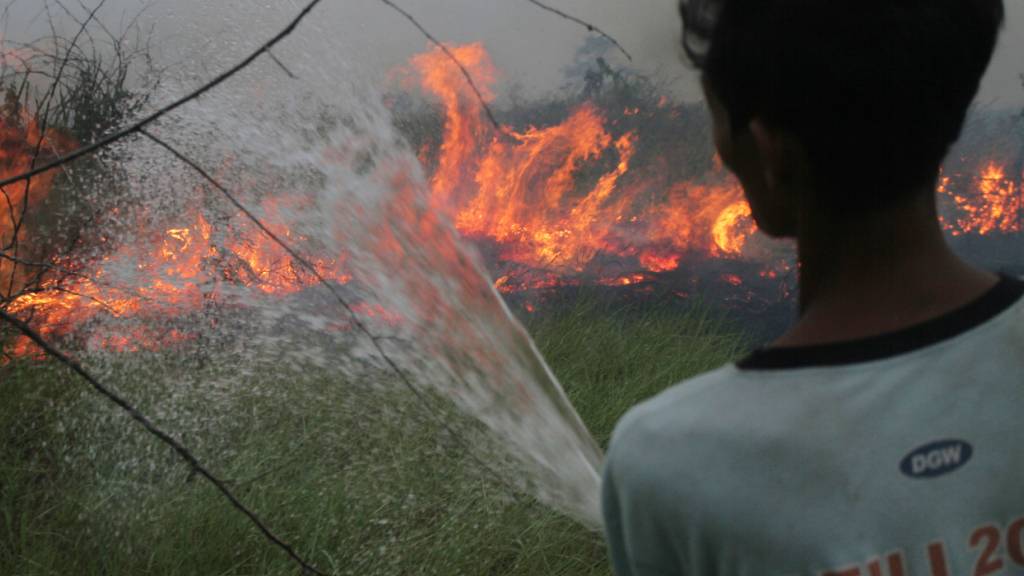 Ein Freiwilliger sprüht Wasser, um einen Waldbrand in Indonesien zu löschen. Foto: Muhammad Hatta/AP/dpa